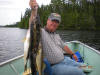 Walleyes June 2011